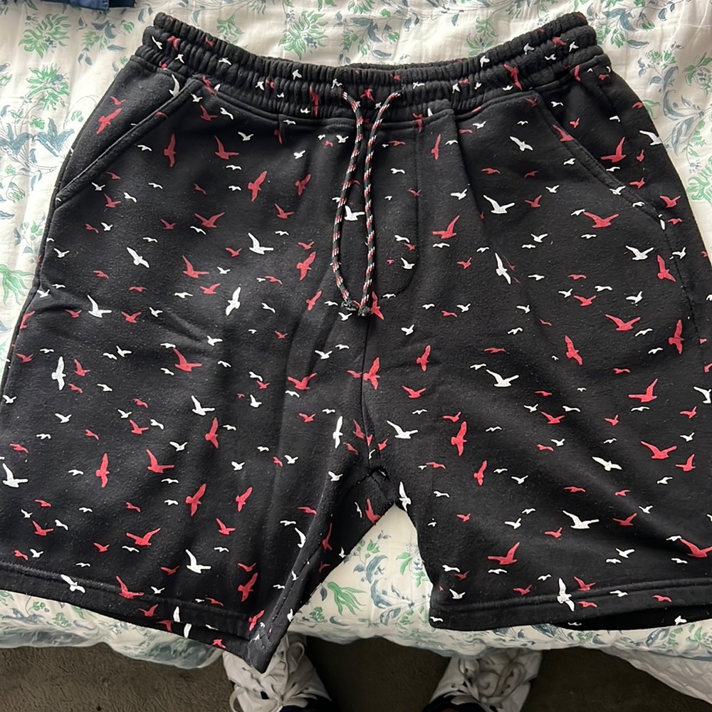 Black Hollister Lounge Shorts - Large